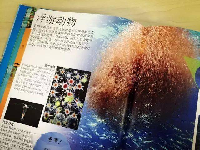 探索知识的海洋，儿童百科问答题目大全