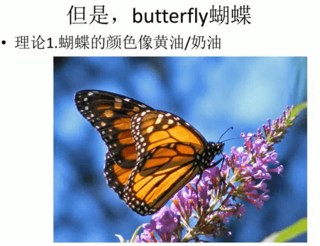 探索200多种蝴蝶的英语名称及其生态意义