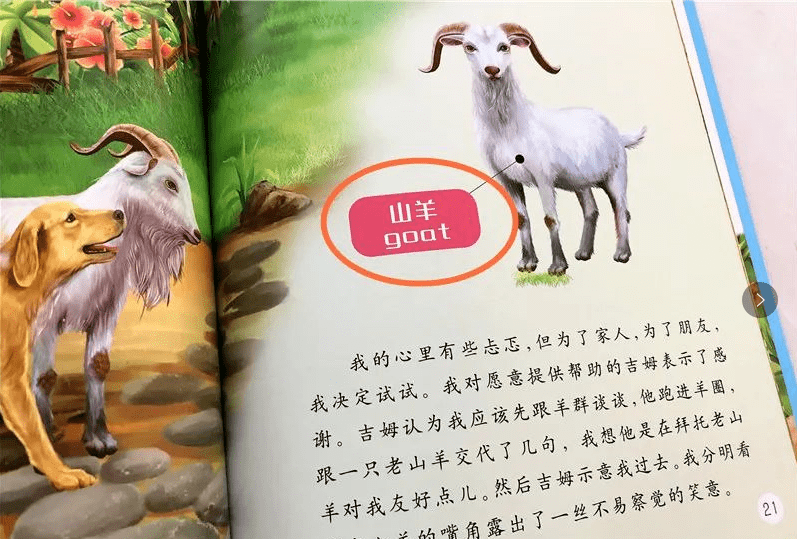 动物知识趣味问答，探索自然界的奇妙世界