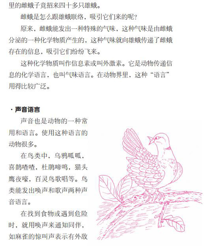 动物王国的奇妙世界，百科题目及答案