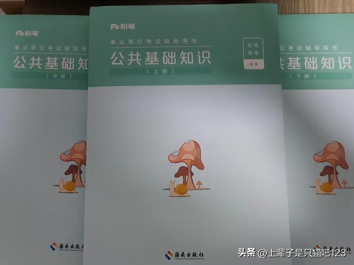 公基必考知识点，全面掌握，轻松应对考试