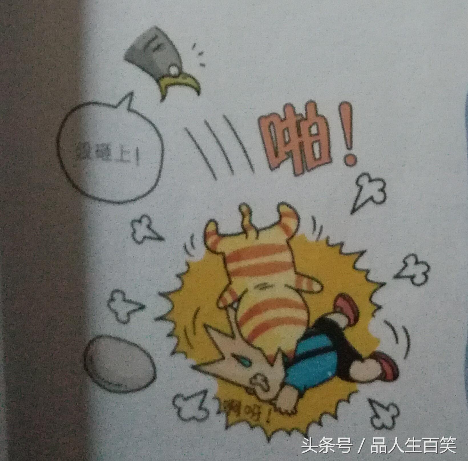 动物百问百答，揭秘自然界的奇妙生物