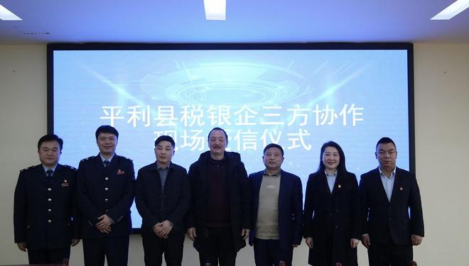 内蒙古银税贷互动平台官网，促进地方经济发展的新引擎
