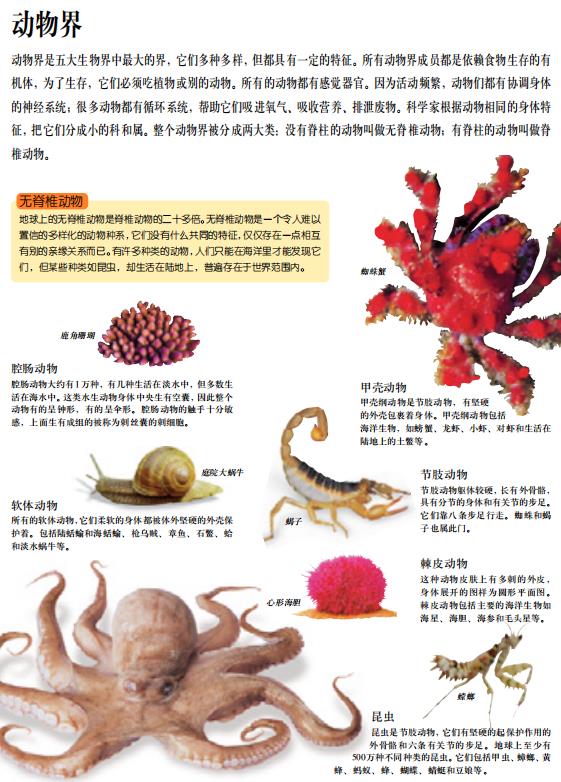 动物类百科全书电子版，探索生命的奥秘