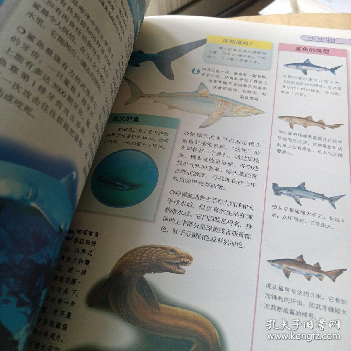 动物类百科全书电子版，探索生命的奥秘