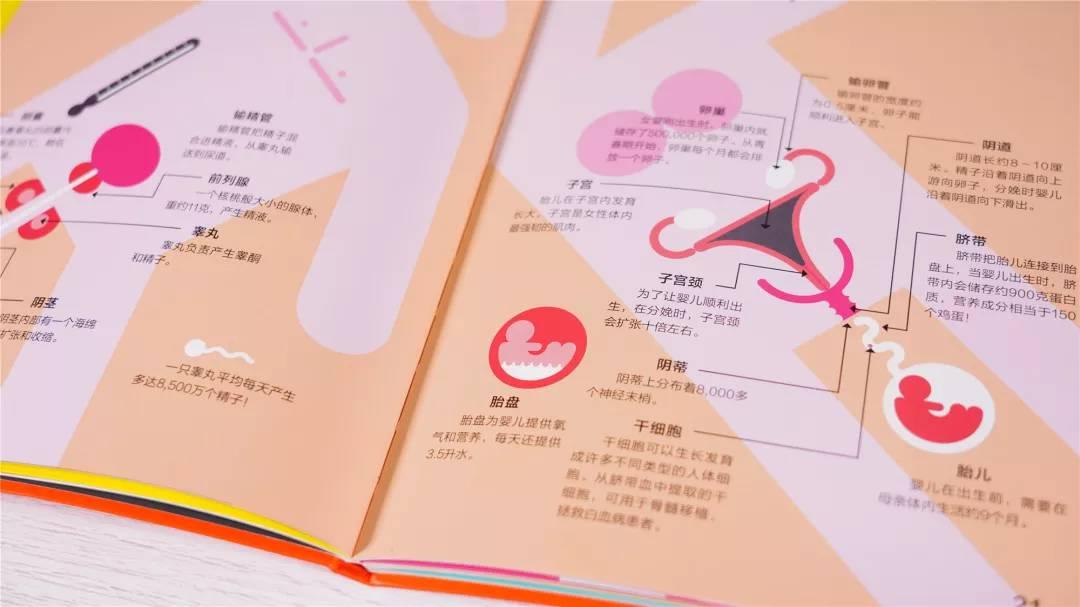 秒懂百科原声，探索声音背后的故事